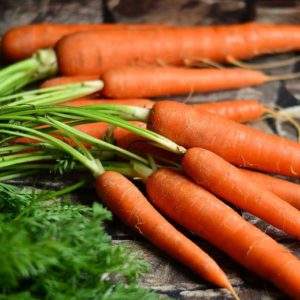 botte de carottes nouvelles