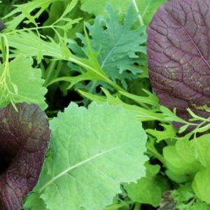 Mesclun 100g