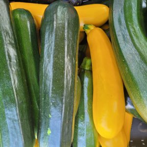 Courgettes vertes 500g