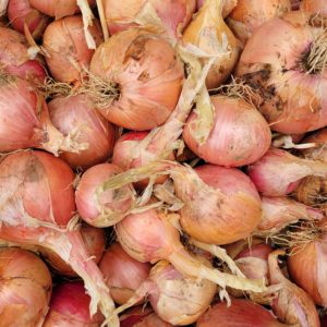 Oignons rosés d’Armorique 500g