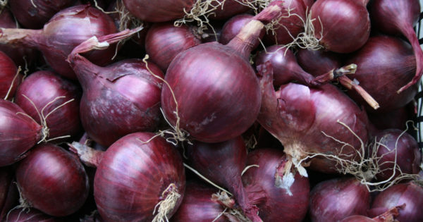Oignons rouges 500g