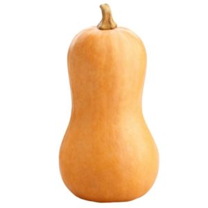 Butternut