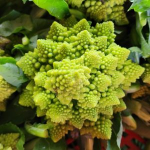 chou Romanesco (la pièce)