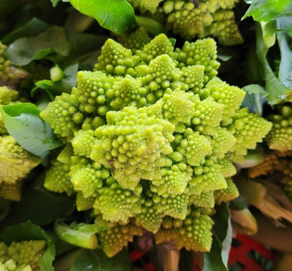 chou Romanesco (la pièce)
