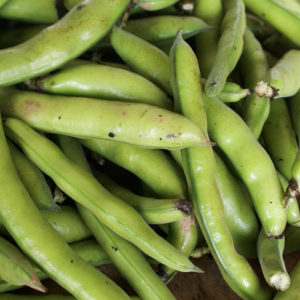Petits pois 500g