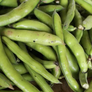 Petits pois 500g