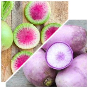 Radis red meat – radis blue meat 500g