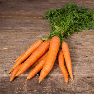 botte de carottes nouvelles