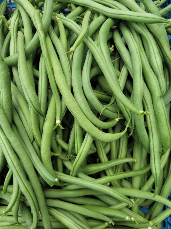 Haricots verts 500g