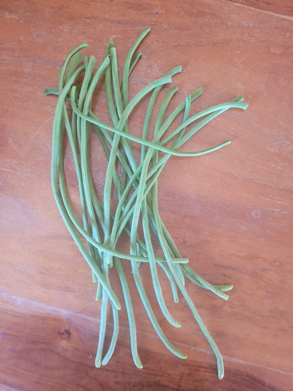 Haricots kilomètre 500g