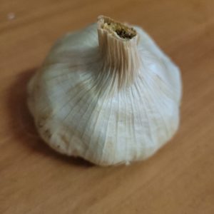 Tête d’ail