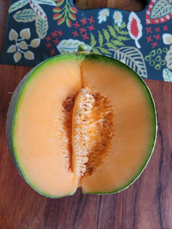 Melon