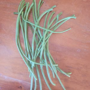 Haricots kilomètre 500g
