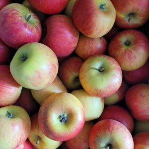 Pomme 1kg