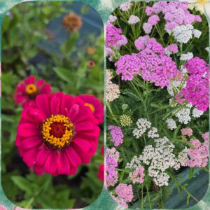 Petit bouquet de fleurs