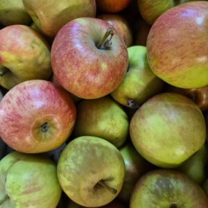 Pommes Elstar 1kg