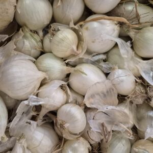 Oignons blancs 500g