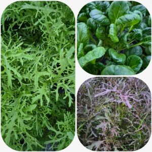 Mesclun 200g