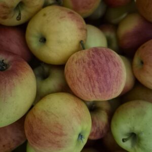 Pomme  Daliclass 1kg (revente)